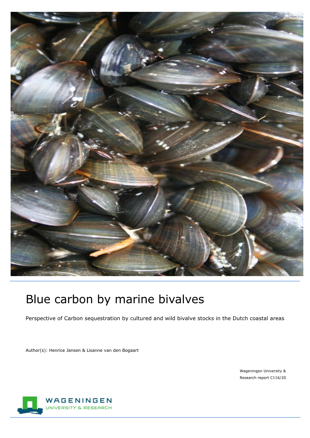 Blue Carbon by Marine Bivalves