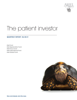 The Patient Investor