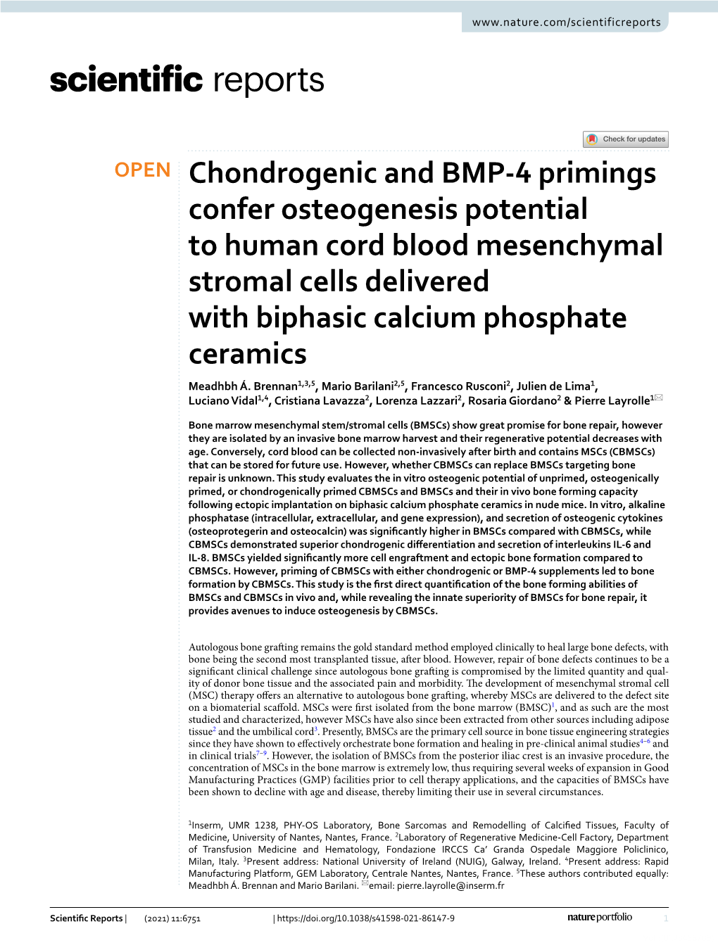 Chondrogenic and BMP-4 Primings Confer Osteogenesis Potential to Human Cord Blood Mesenchymal Stromal Cells Delivered with Bipha