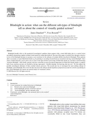 Blindsight in Action: What Can the Different Sub-Types of Blindsight Tell Us About the Control of Visually Guided Actions?