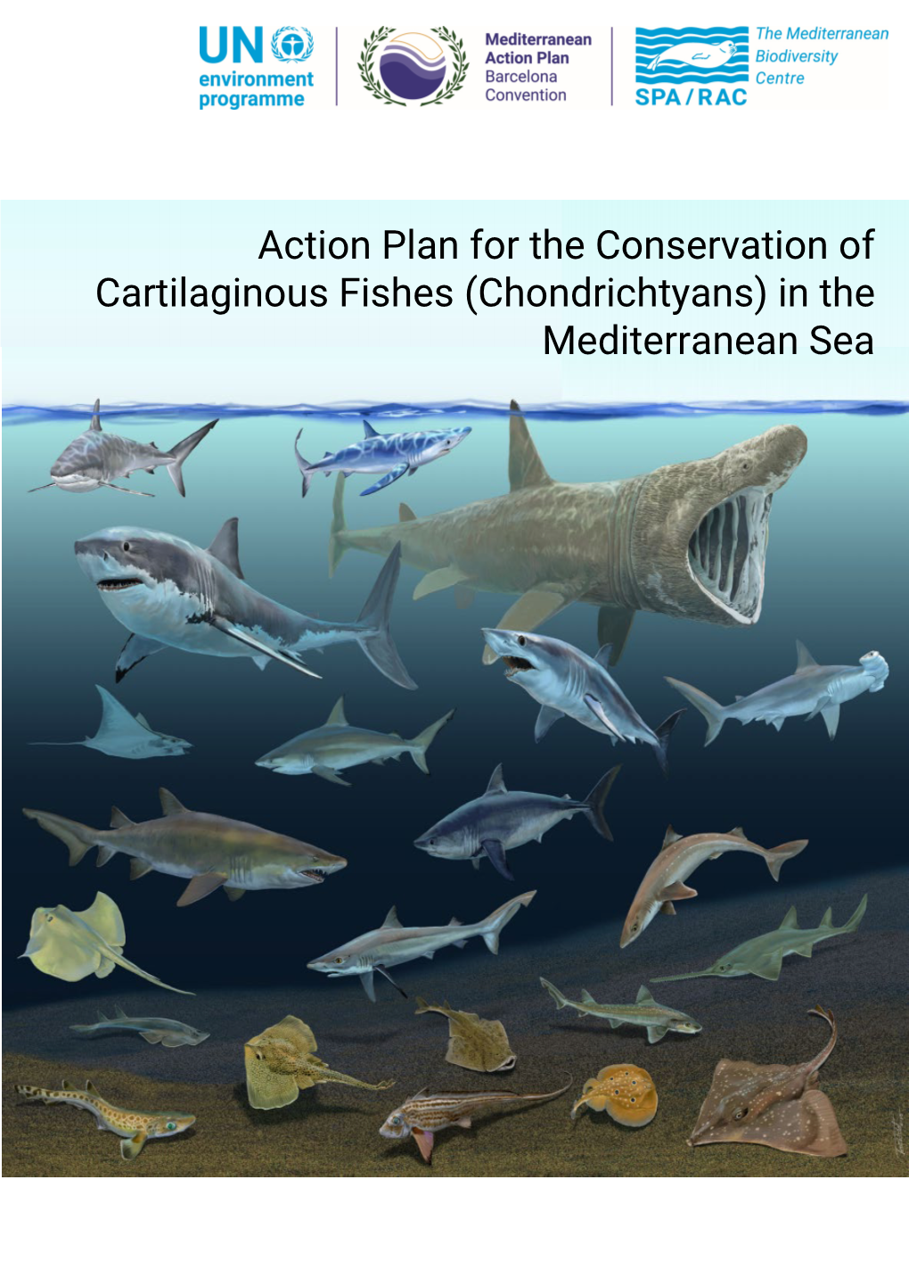 Action Plan for the Conservation of Cartilaginous Fishes (Chondrichtyans) in the Mediterranean Sea; By: Bradai, M N., Ed SPA/RAC