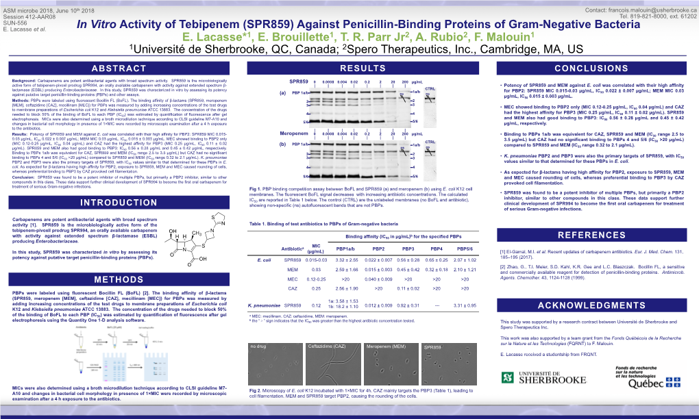 Against Penicillin-Binding Proteins of Gram-Negative Bacteria E