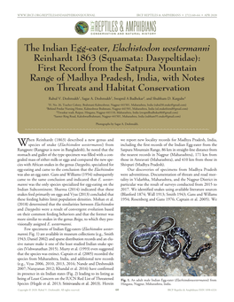 The Indian Egg-Eater, Elachistodon