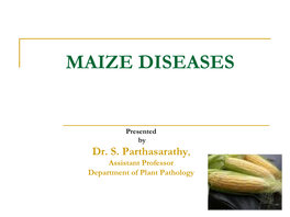 Diseases-Of-Maize