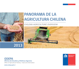 Panorama De La Agricultura Chilena Chilean Agriculture Overview