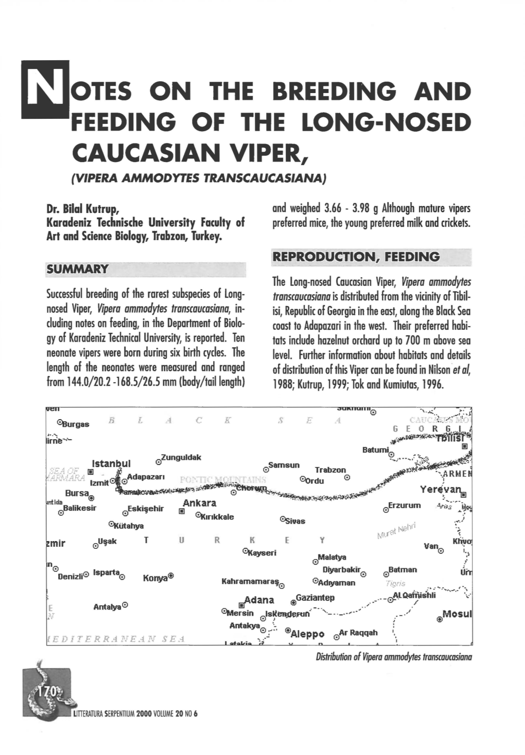 II]Otes on the BREEDING and FEEDING of the LONG-NOSED CAUCASIAN VIPER, (VIPERA AMMODYTES TRANSCAUCASIANA)