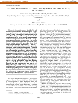 Life History of Colpomenia Sinuosa (Scytosiphonaceae, Phaeophyceae) in the Azores1