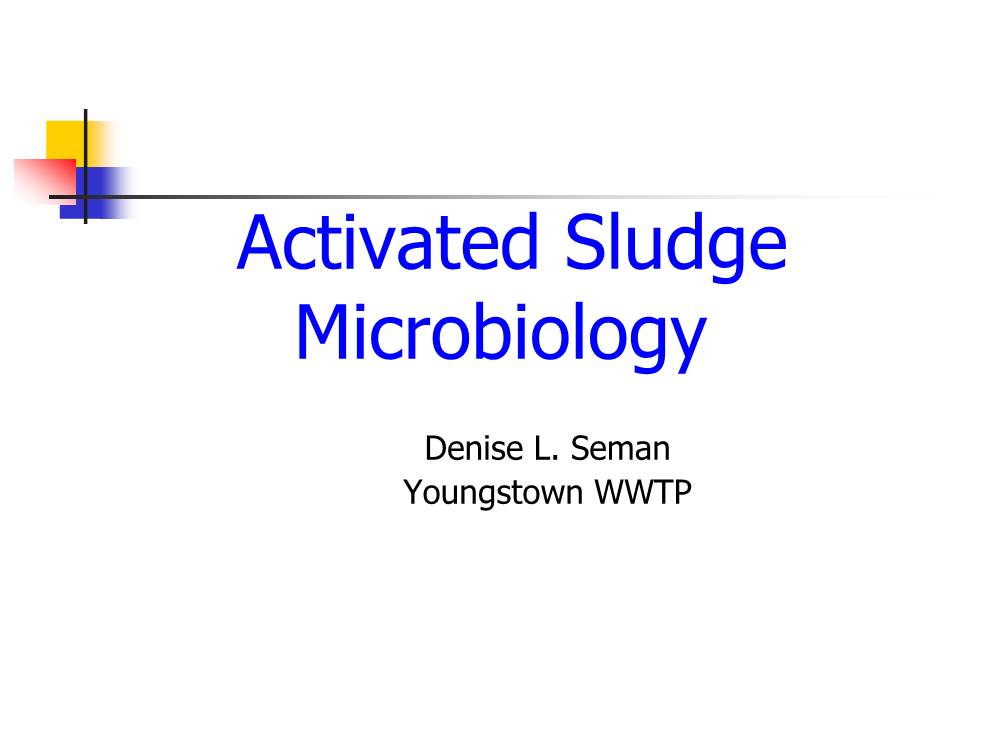 Activated Sludge Microbiology