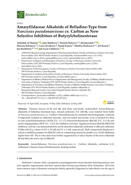 Amaryllidaceae Alkaloids of Belladine-Type from Narcissus Pseudonarcissus Cv