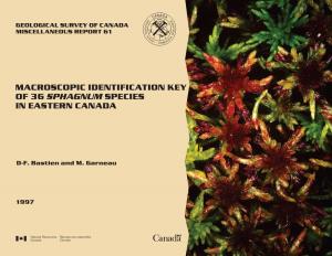 Macroscopic Identification Key of 36 Species in Eastern Canada Sphagnum