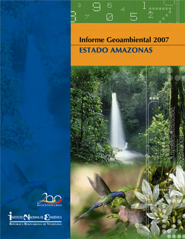 Informe Geoambiental Amazonas