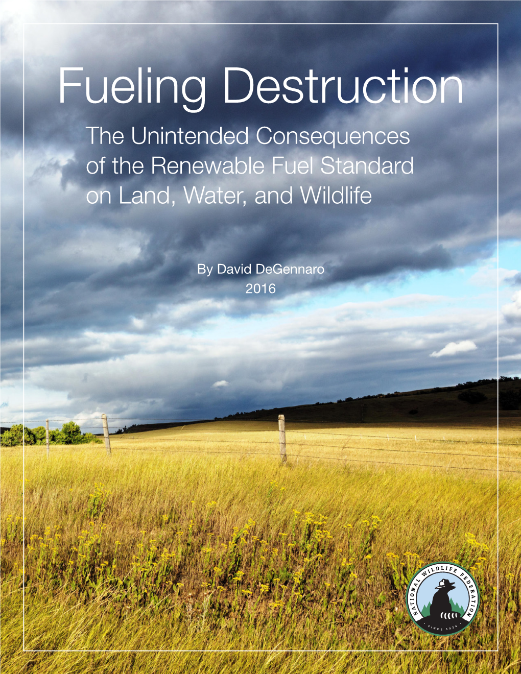 The Unintended Consequences of the Renewable Fuels Standard