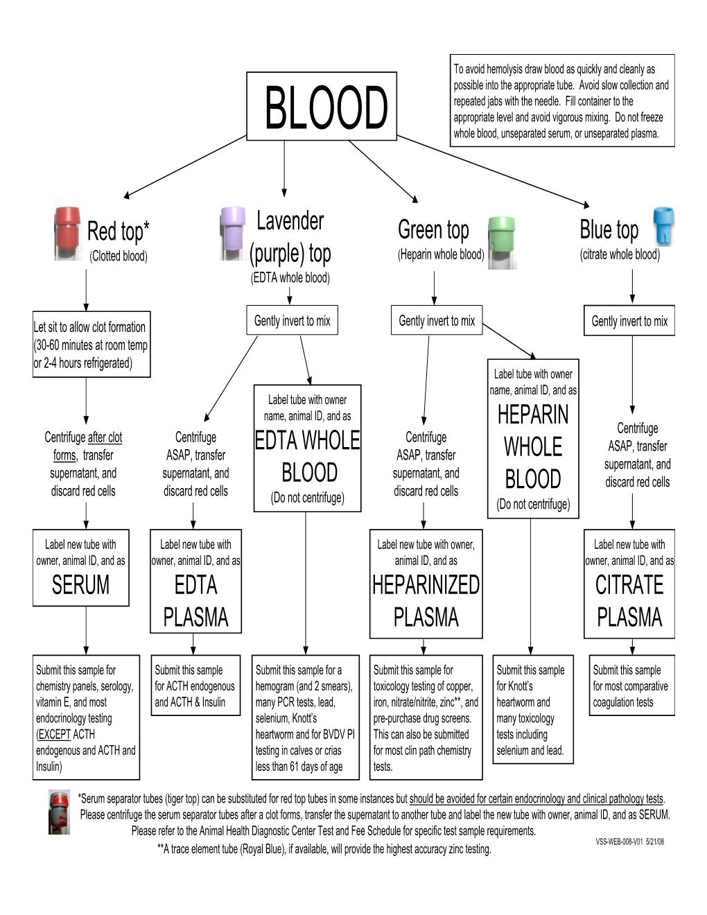 Blood Collection Tube and Labeling Guide