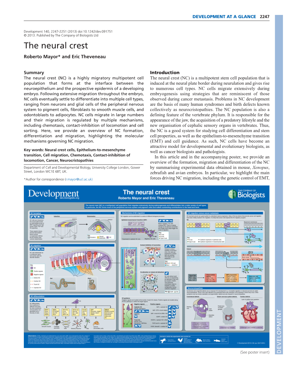 The Neural Crest Roberto Mayor* and Eric Theveneau