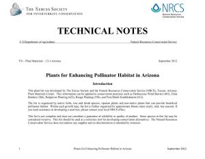 Plants for Enhancing Pollinator Habitat in Arizona