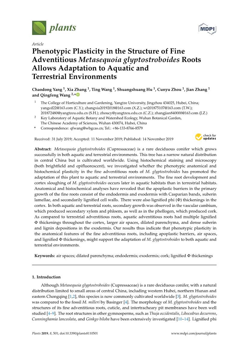 Phenotypic Plasticity in the Structure of Fine Adventitious Metasequoia Glyptostroboides Roots Allows Adaptation to Aquatic and Terrestrial Environments