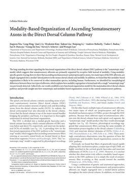 Modality-Based Organization of Ascending Somatosensory Axons in the Direct Dorsal Column Pathway