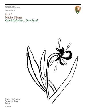 Unit 4: Native Plants Our Medicine
