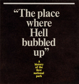 "The Place Where Bubbled
