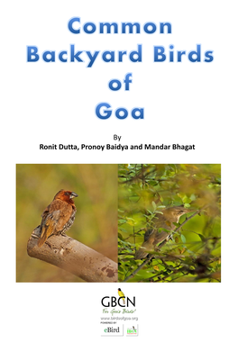 By Ronit Dutta, Pronoy Baidya and Mandar Bhagat What Are Birds?