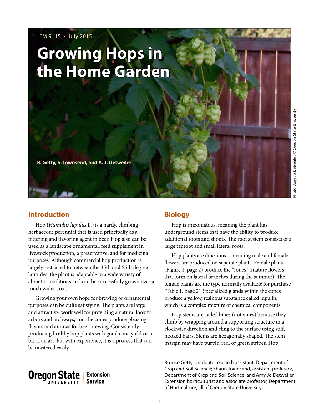 Growing Hops in the Home Garden