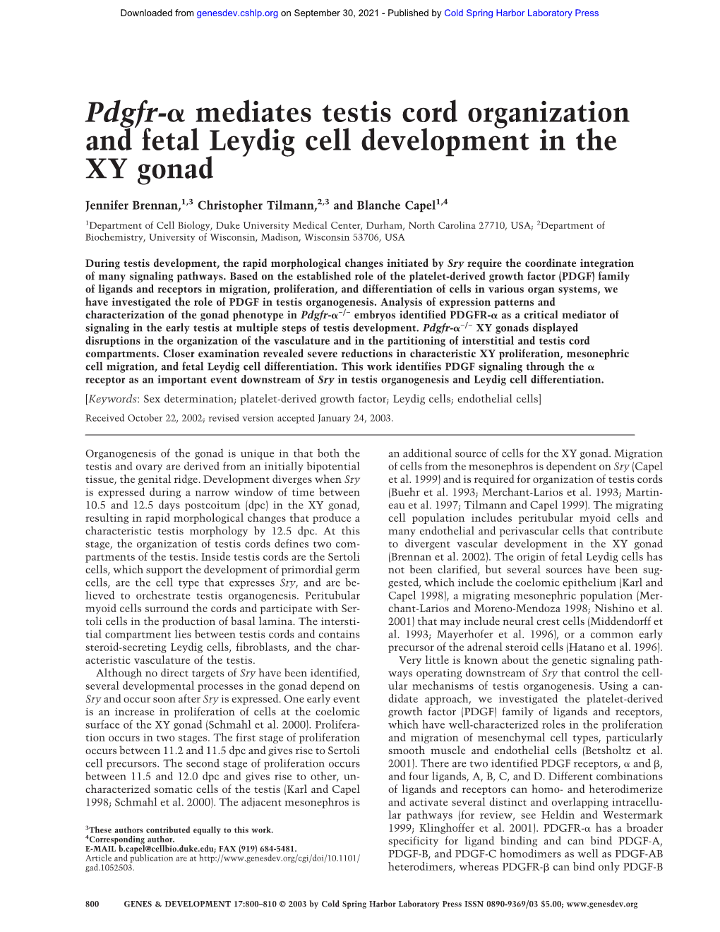 Mediates Testis Cord Organization and Fetal Leydig Cell Development in the XY Gonad