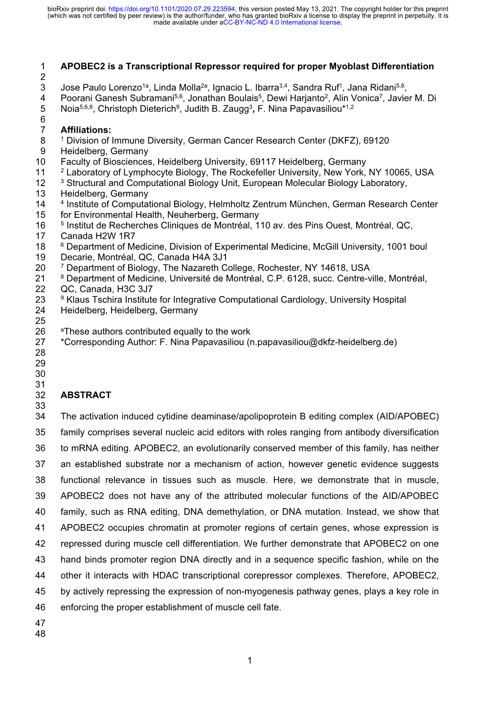 APOBEC2 Is a Transcriptional Repressor Required for Proper Myoblast Differentiation 2 3 Jose Paulo Lorenzo1a, Linda Molla2a, Ignacio L