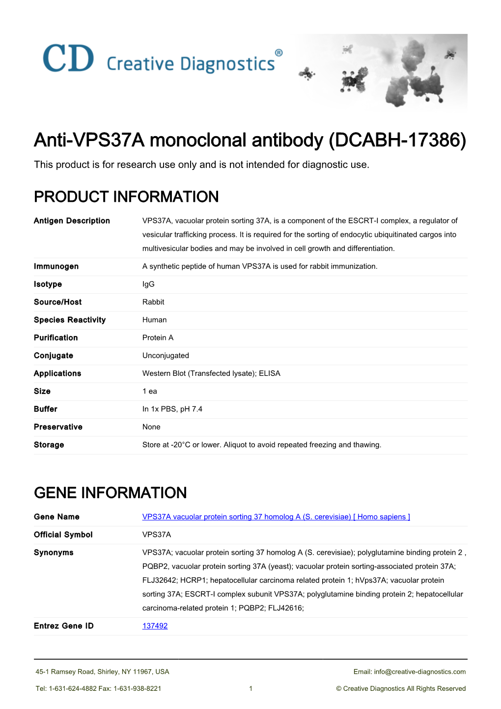 Anti-VPS37A Monoclonal Antibody (DCABH-17386) This Product Is for Research Use Only and Is Not Intended for Diagnostic Use