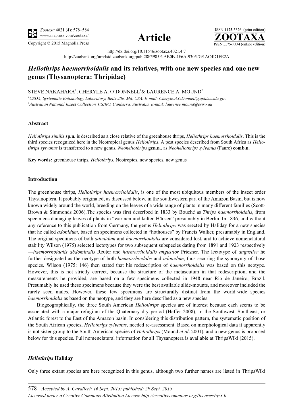 Heliothrips Haemorrhoidalis and Its Relatives, with One New Species and One New Genus (Thysanoptera: Thripidae)