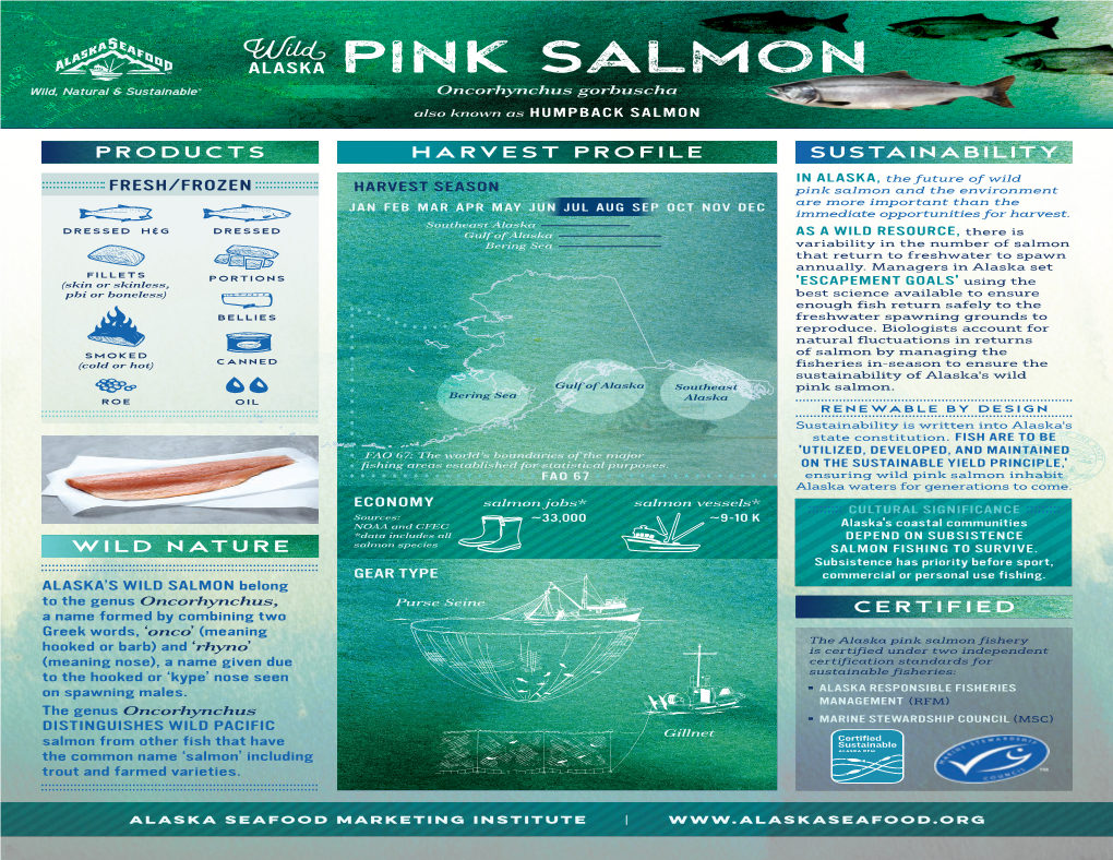 P Pink Salmon