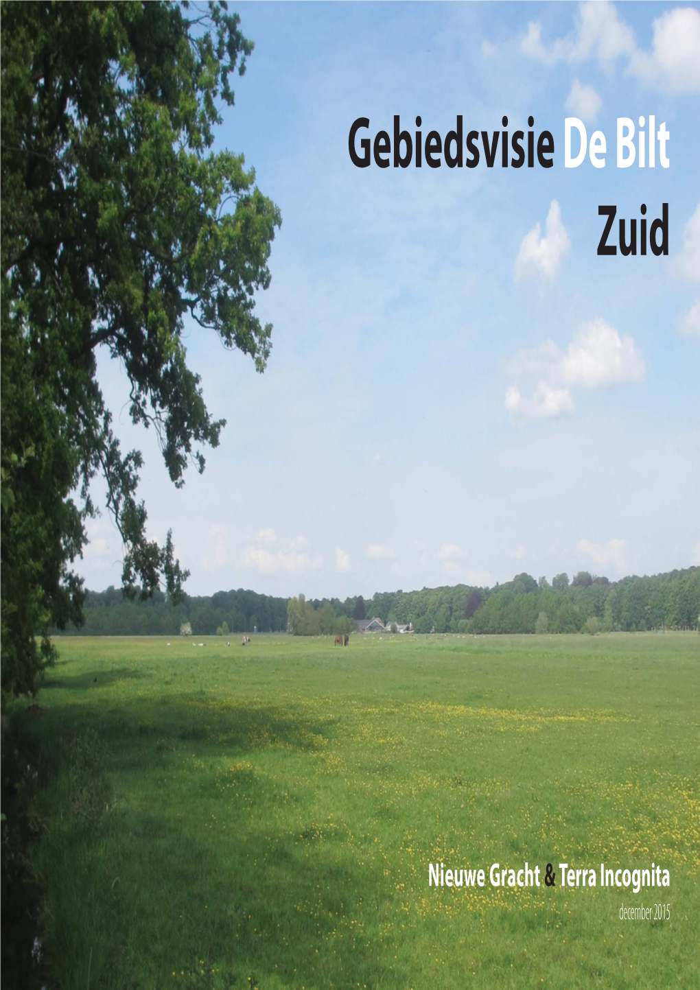 Layout De Bilt-Zuid.Indd