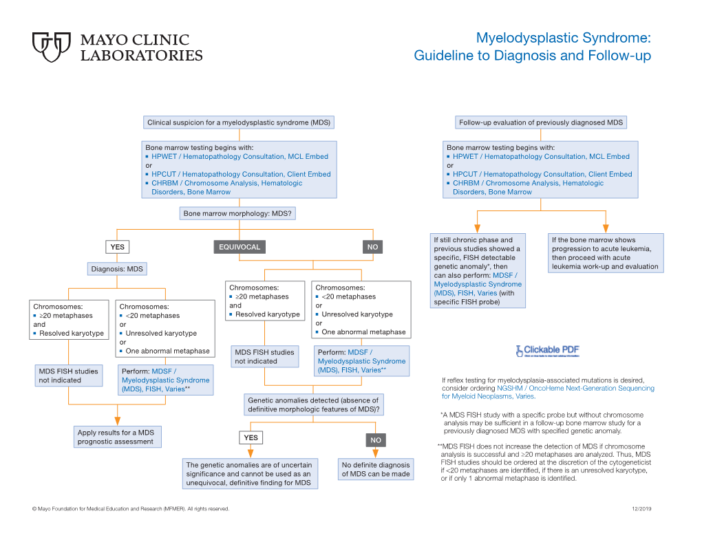 Myelodysplastic Syndrome: Guideline to Diagnosis and Follow-Up