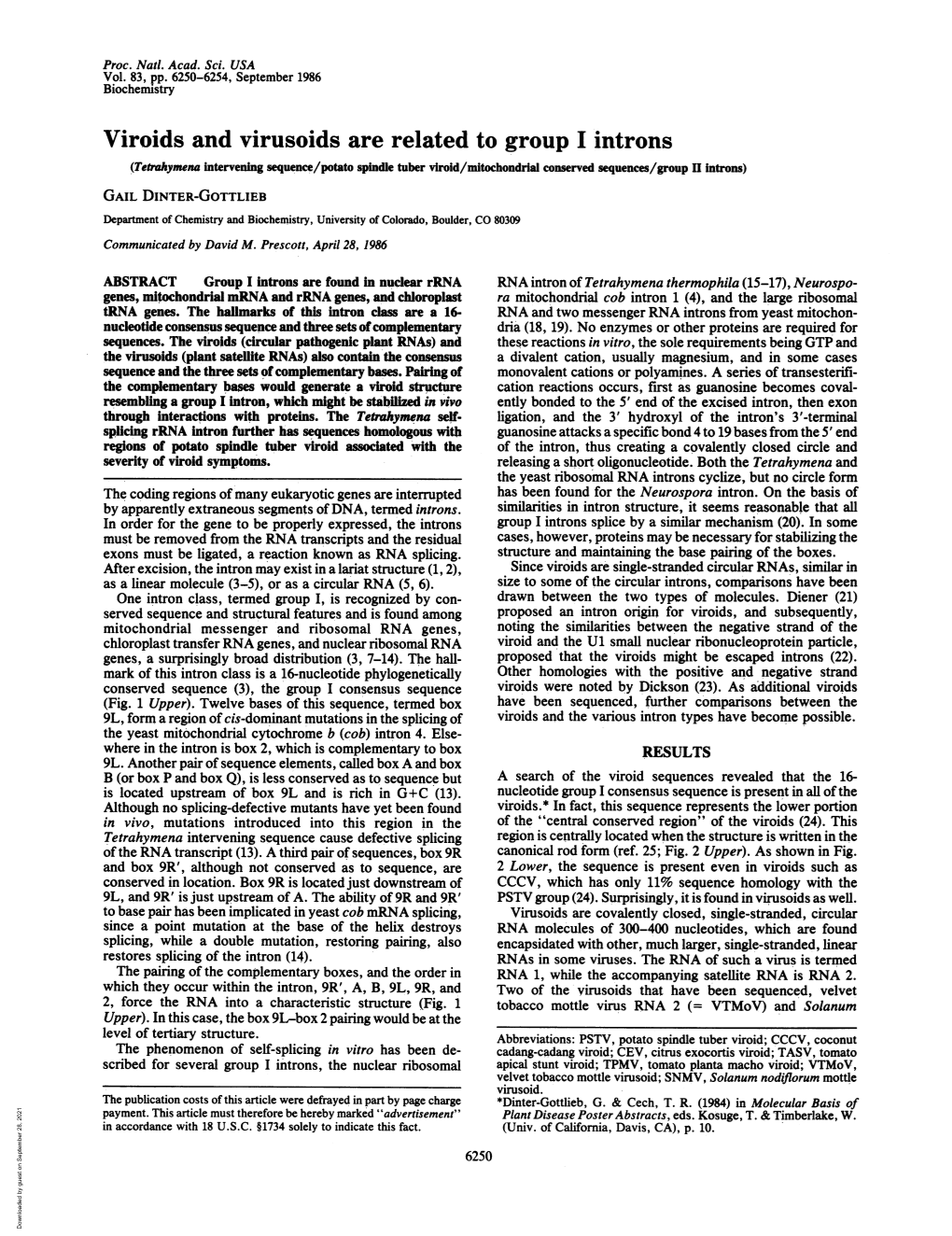 Viroids and Virusoids Are Related to Group I Introns