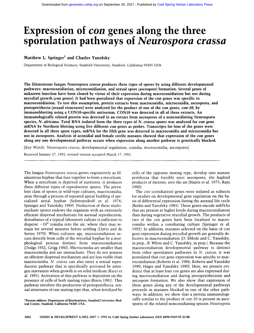 Expression of Con Genes Along the Three Sporulation Pathways of Neurospora Crassa
