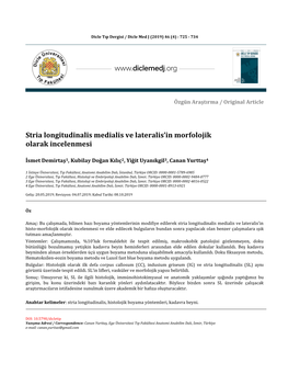 Stria Longitudinalis Medialis Ve Lateralis'in Morfolojik Olarak