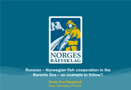 Sustainable Fisheries – Norges Råfisklags Commitment