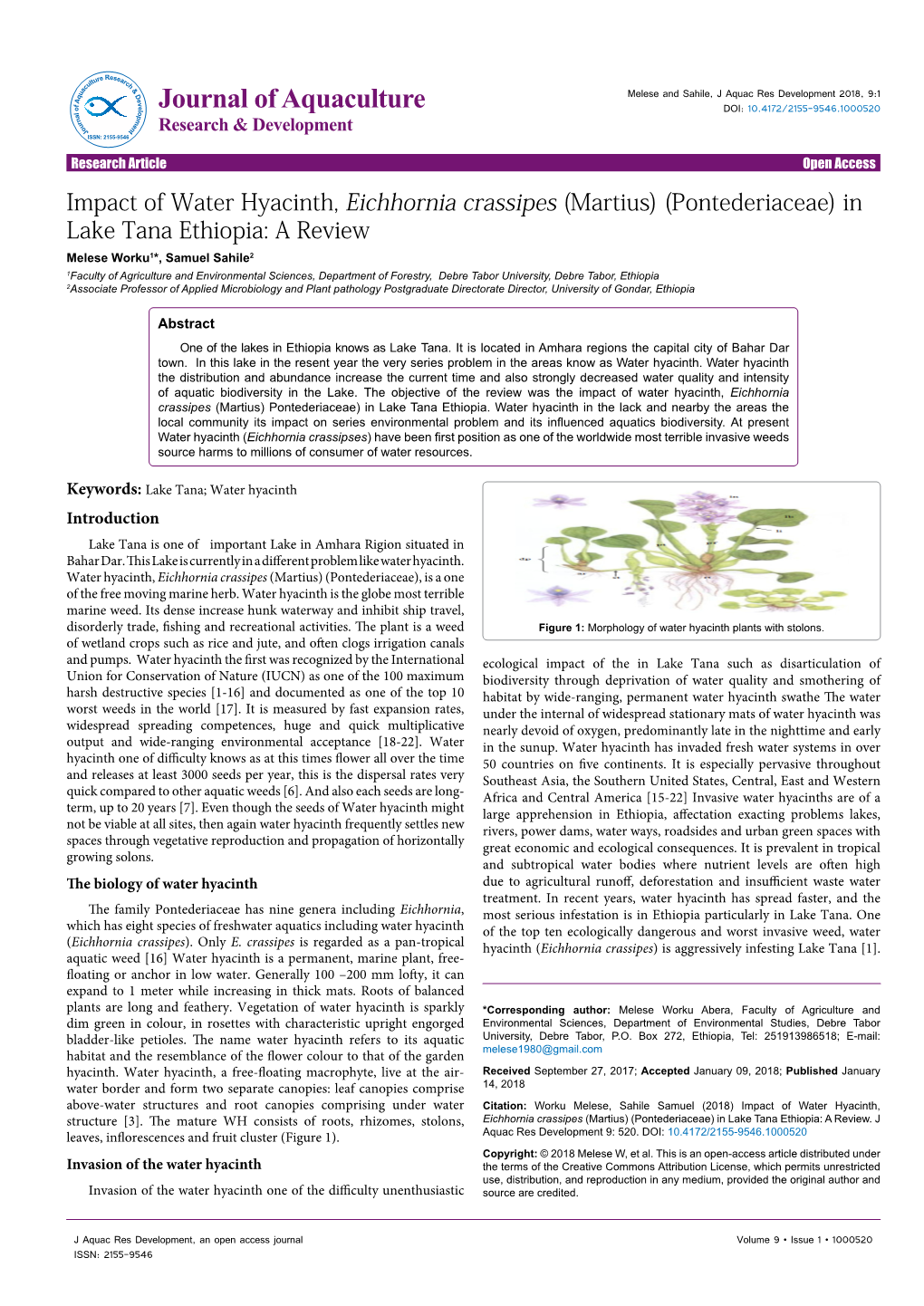 Impact of Water Hyacinth, Eichhornia Crassipes (Martius) (Pontederiaceae) in Lake Tana Ethiopia: a Review