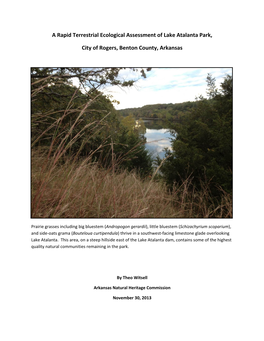 Theo Witsell Botanical Report on Lake Atalanta Park November 2013