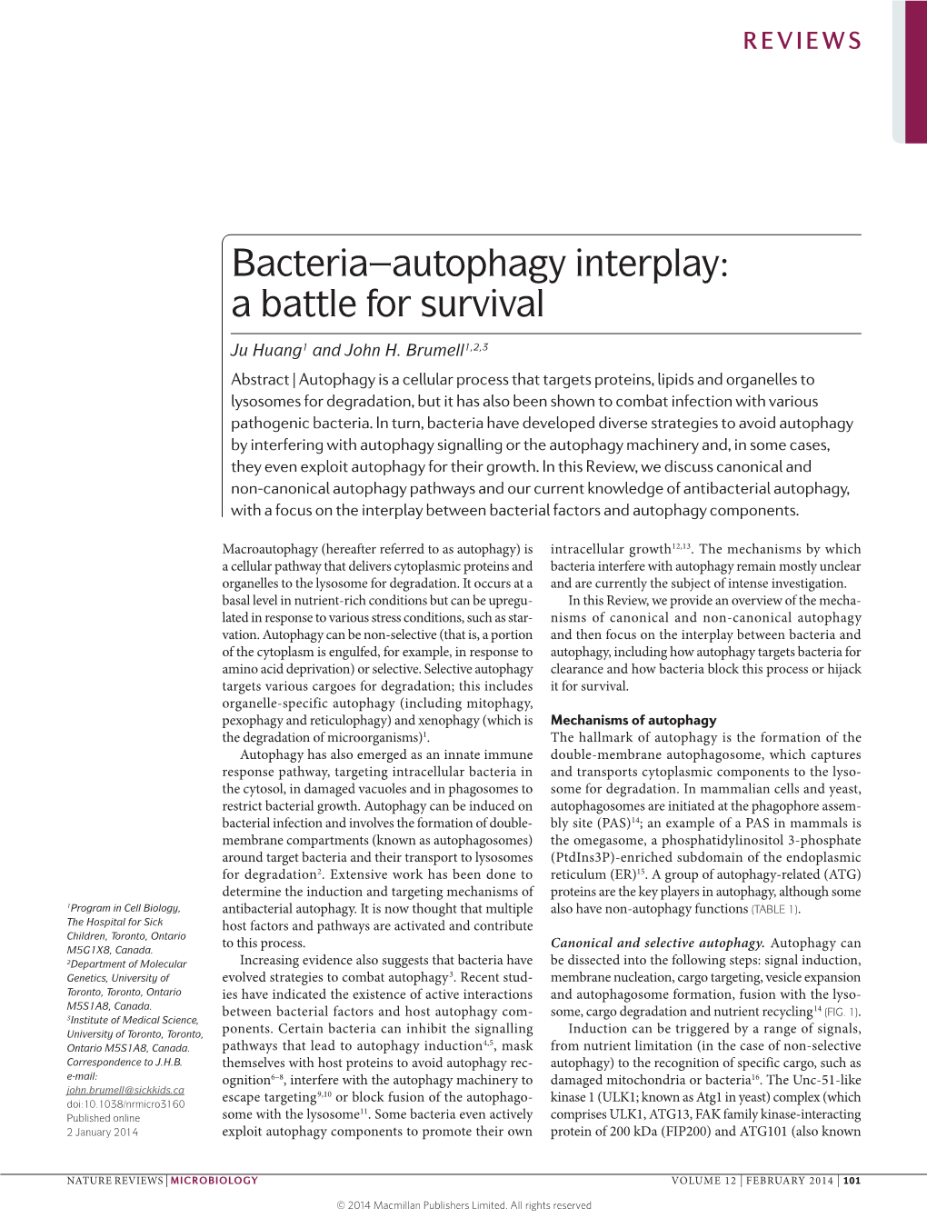 Bacteria–Autophagy Interplay: a Battle for Survival
