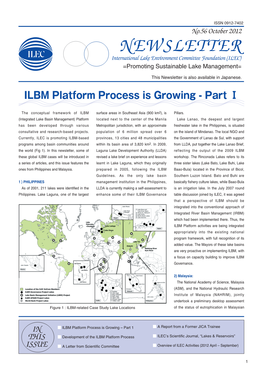 ILBM Platform Process Is Growing - Part Ⅰ�