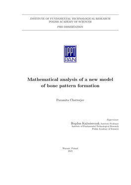 Mathematical Analysis of a New Model of Bone Pattern Formation