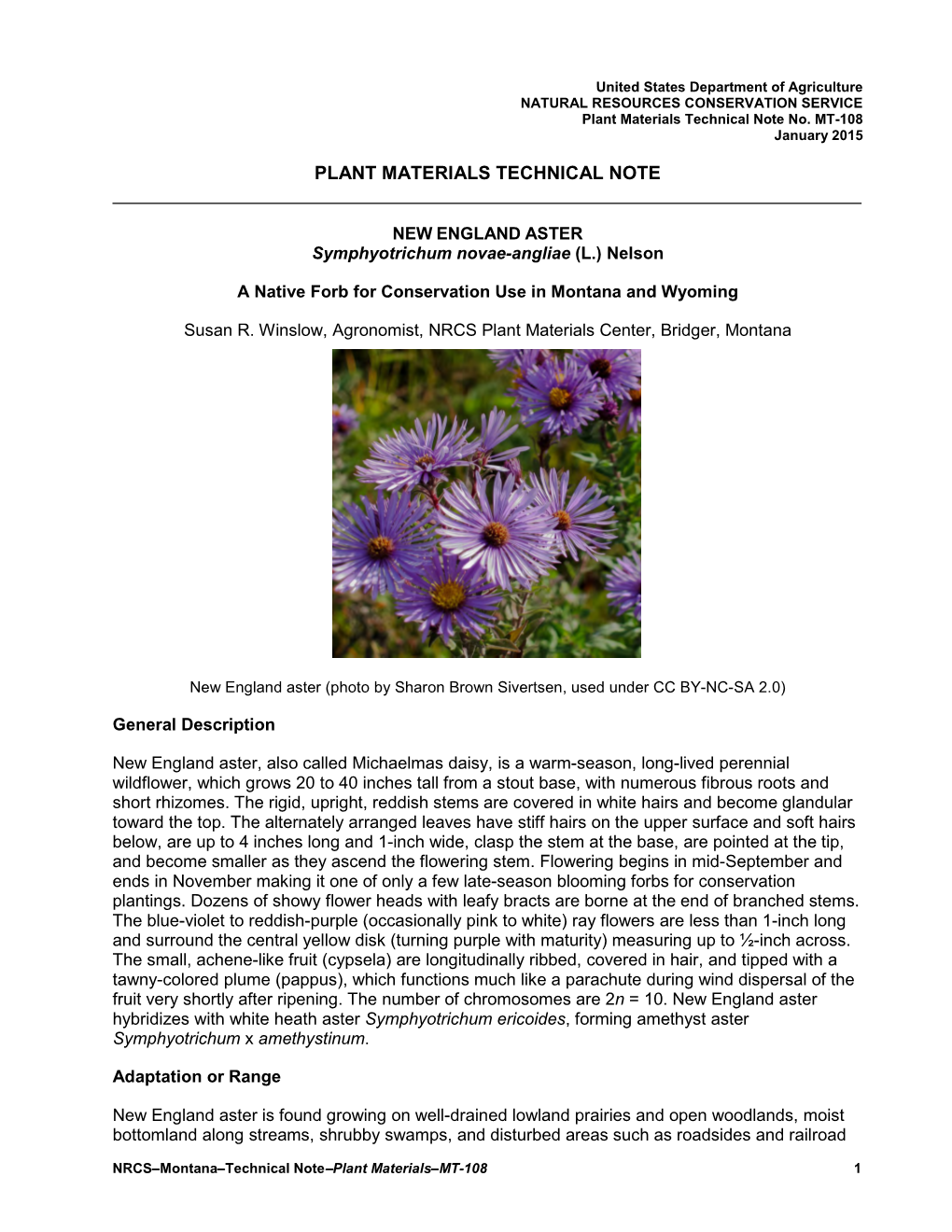 New England Aster: an Introduced Forb for Conservation Use In