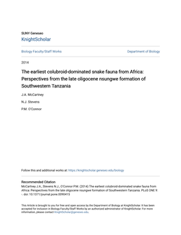 Perspectives from the Late Oligocene Nsungwe Formation of Southwestern Tanzania