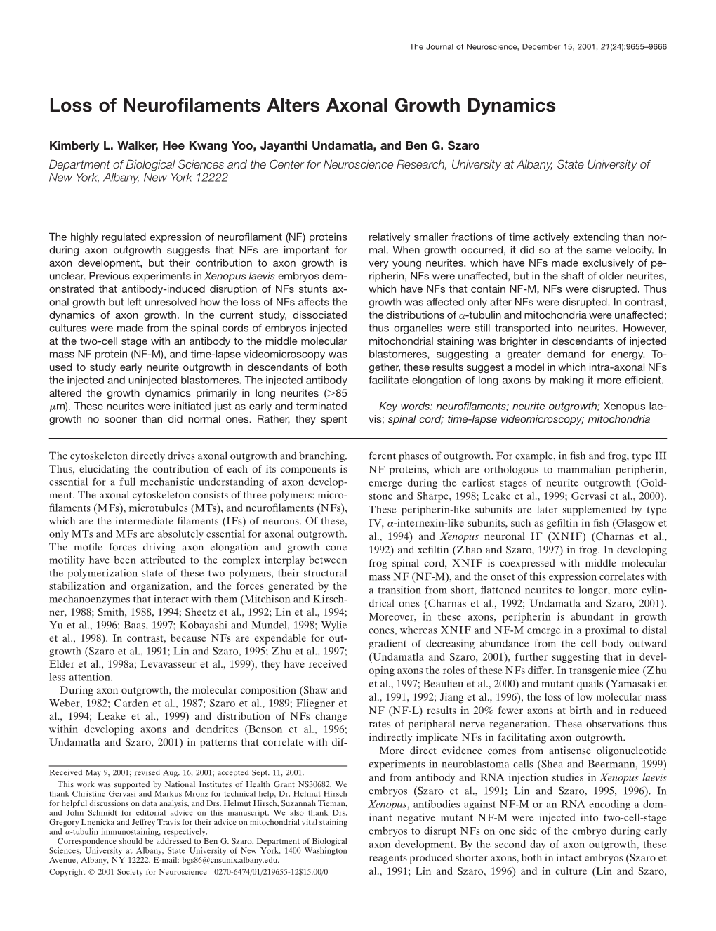 Loss of Neurofilaments Alters Axonal Growth Dynamics