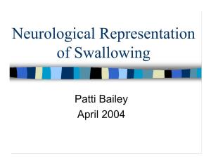 Neurological Representation of Swallowing