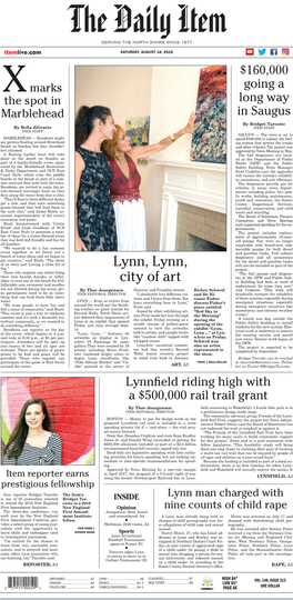 Lynn, Lynn, City of Art Prestigious Fellowship