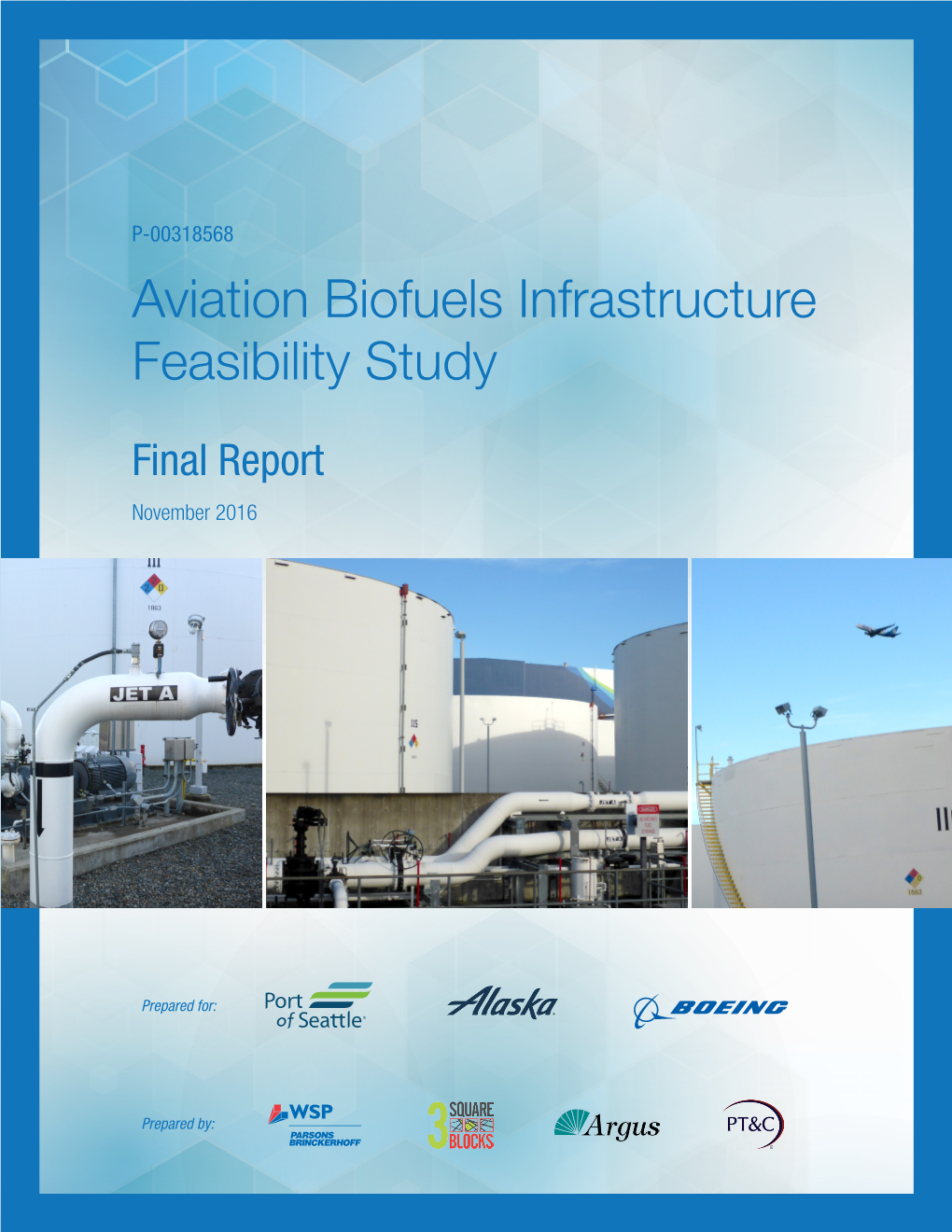 Aviation Biofuels Infrastructure Feasibility Study