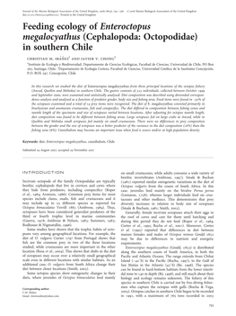 Feeding Ecology of Enteroctopus Megalocyathus (Cephalopoda: Octopodidae) in Southern Chile Christian M
