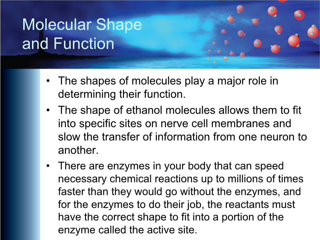 Molecular Shape and Function