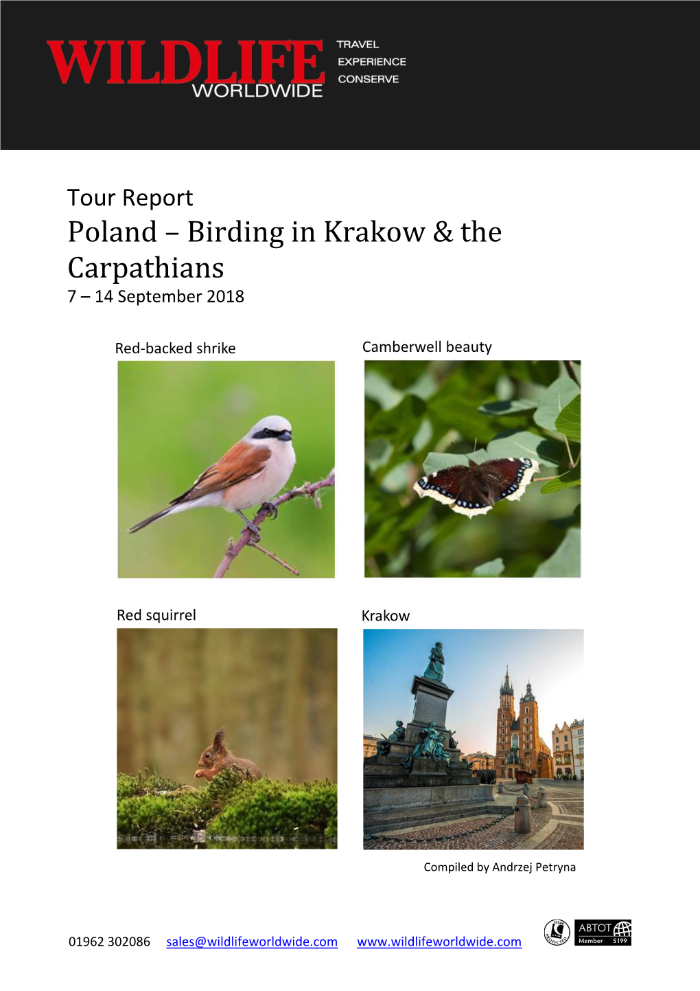Birding in Krakow & the Carpathians